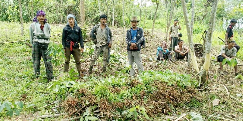 Department of Land Resource, Longleng has implemented various activities under PMKSY-WDC Project by distributing varieties of crops and plantation to the farmers of the district for the last few months. (DIPR Photo)